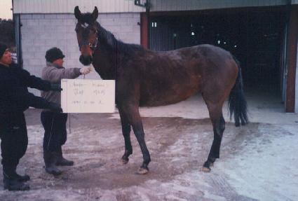 �ڹ��̵��� ����