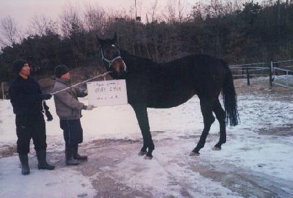 ���ɷα׷��� ����