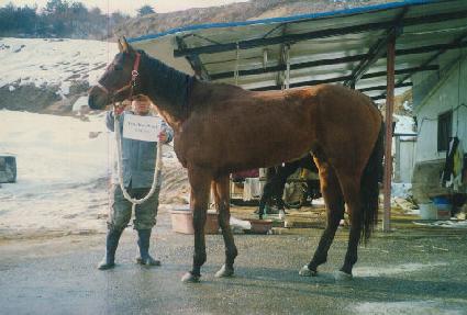 �ٽó���ũ ����