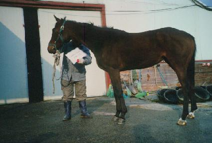 ĳ���ݹݵ� ����