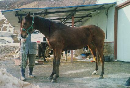 �ҽ�Ģ�� ����