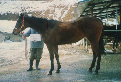 ���̽���Ʈ���� ����