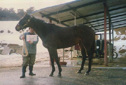 ����Ʈī���׷��� ����