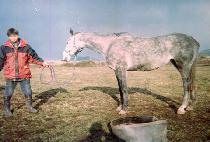 Ÿ�̿伶�� (TAIYO SUMMER) ����