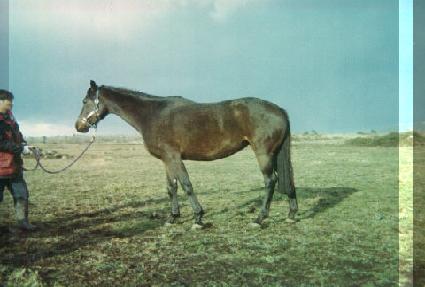 �������ö�� ����