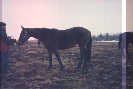 �����ũ ����