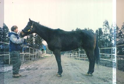 �������� ����