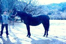 ���̽����� (ROYCE RAIN) ����