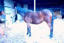 ������������� (FREEZE THE LIFE) ����