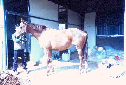 ���ֹٴ� ����