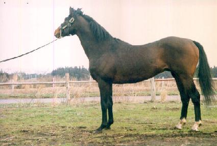 ��������� ����