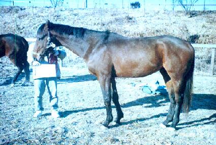 ����������̼� ����