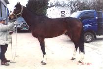 EDITOR IN CHIEF picture