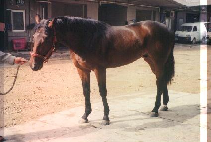 ��ũ����ũ��� ����