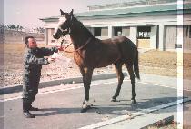 �λ�ɰ� (BUSARYEONGGWAN) ����