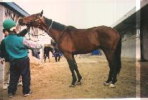 ���ø�ƮŬ���� (COMPLETE CLASS) ����