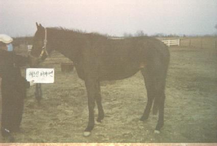 �����Ϲ����μ� ����