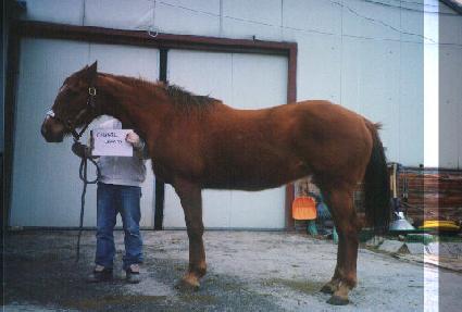 ���ڷ��� ����