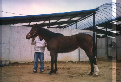 Ǫ��ġ������ ����