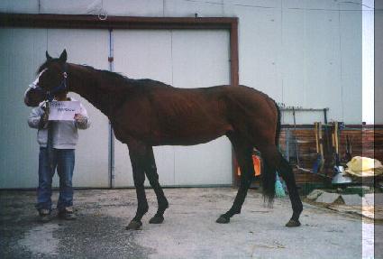 Ÿ�߼��޵��� ����