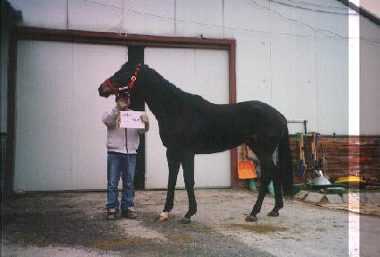 ĵ���÷ν� ����