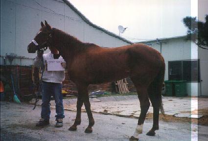 ��ŵ��ŵ ����