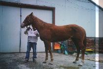 ��Ű���� (FUNKY CHA CHA) ����