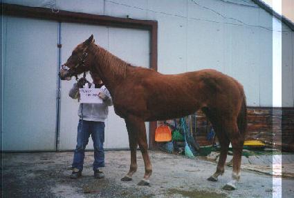 ��Ű���� ����