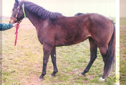 ���̺� ����