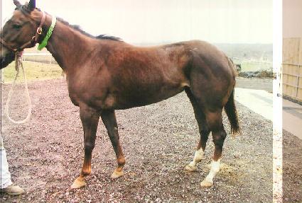 ����Ű ����