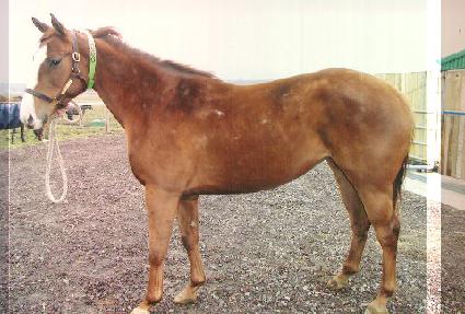 ��Ƽ�õ��� ����