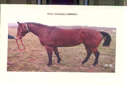 Ÿ�Ӿص彺���̽� ����