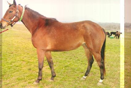 ��Ÿ�ʾ�庥ó ����