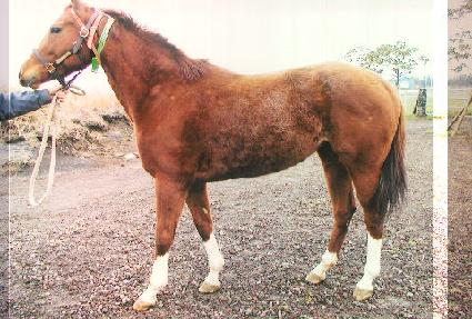 Ʈ��Ŭ������Ƽ ����