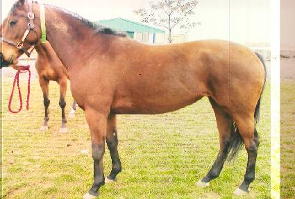 ���и���� ����