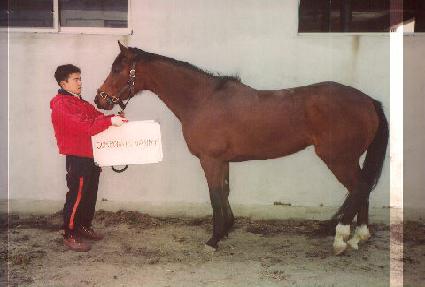 ���۷�Ʈ���� ����