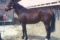 ����Ʈ������ (WAIT YOUR TURN) ����