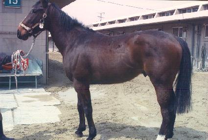 ����Ʈ������ ����