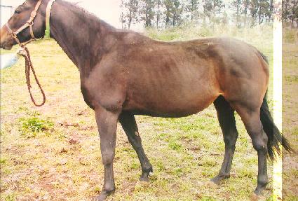 �սý���Ÿ���� ����