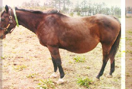 �ۼ��ý����̽� ����