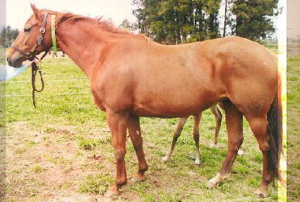 ���������÷��� ����