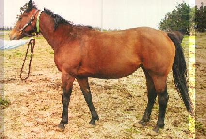 ���̰� ����