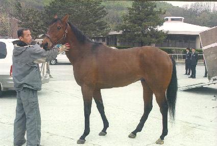 ���ǽ�Ʈ����Ʈ ����