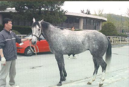 ��ī�ö��̾� ����