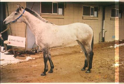 �÷�Ƽ�ѿ��ϵ�Ĺ ����