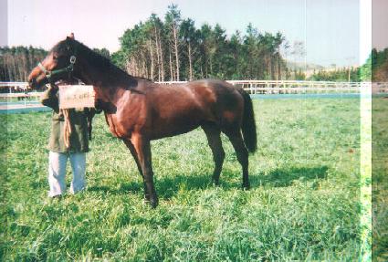 ������÷��� ����