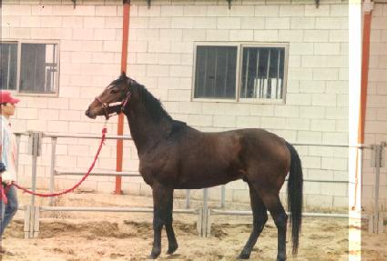 ���̳��ǿ��� ����