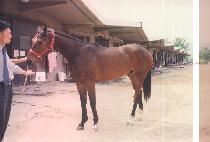 ���̺���� (SAVE THE QUEEN) ����