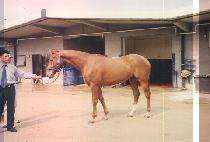 ���ع뷱��Ʈ (FAIR AND BALANCED) ����