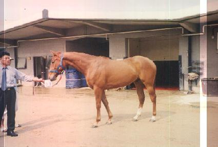 ���ع뷱��Ʈ ����